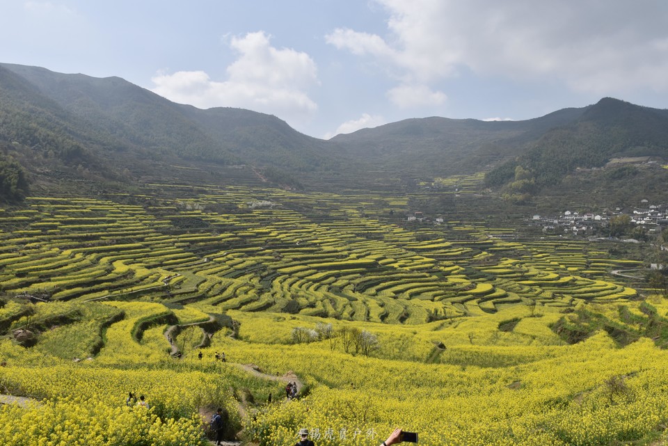 微信图片_20190330215028