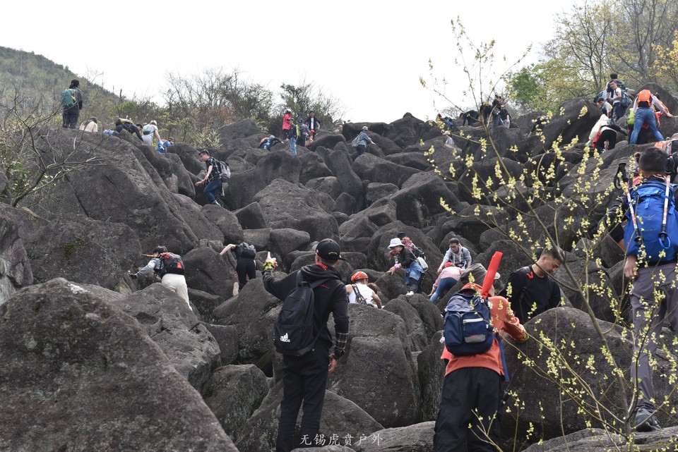 微信图片_20190330215355