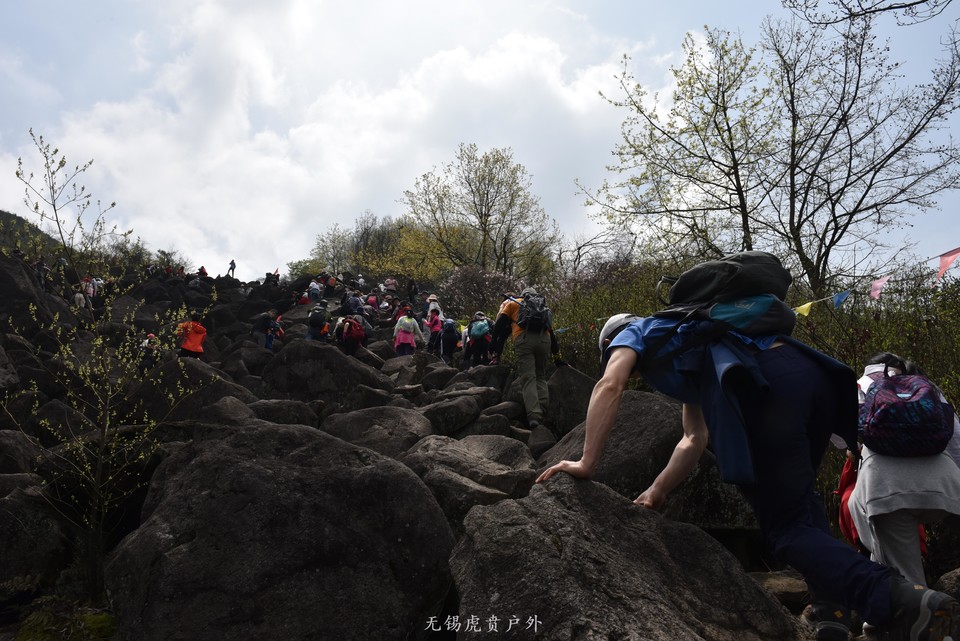 微信图片_20190330215359