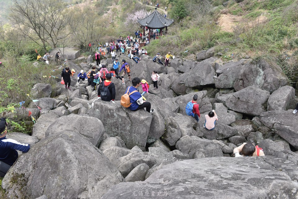 微信图片_20190330215517