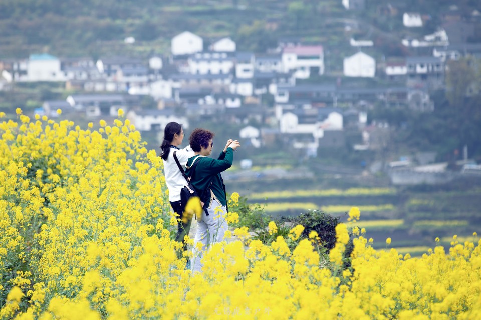 微信图片_20190330220519