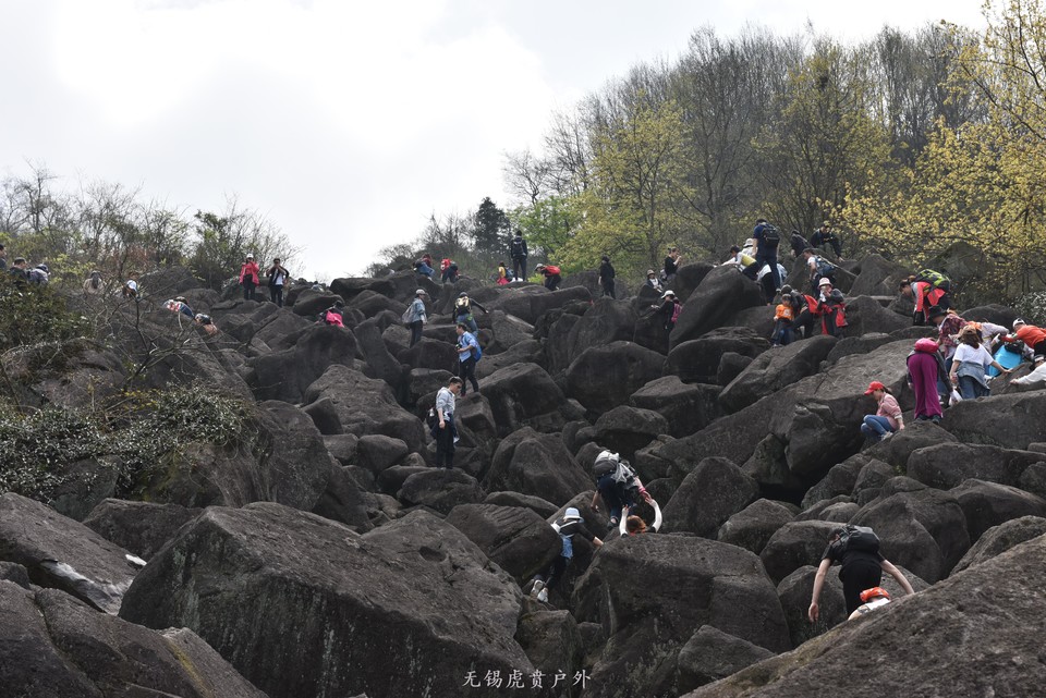 微信图片_20190330215349