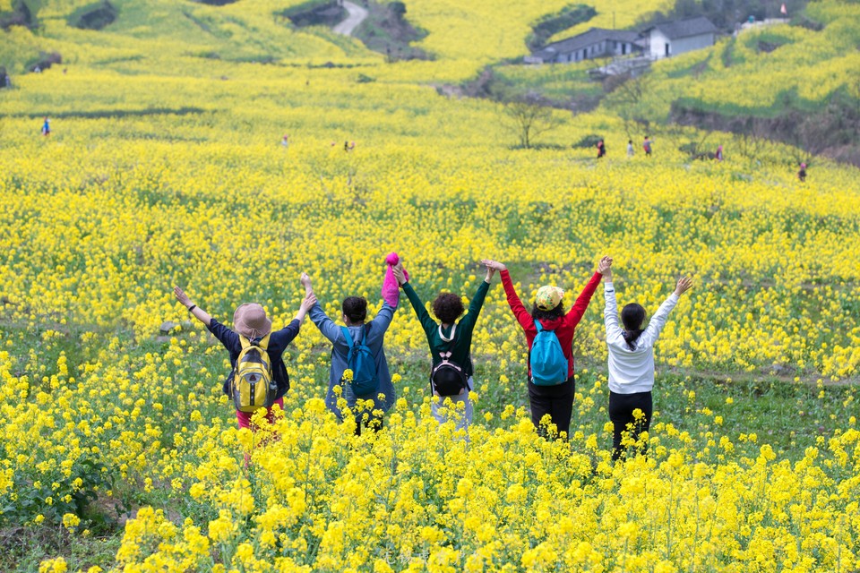 微信图片_20190330220553