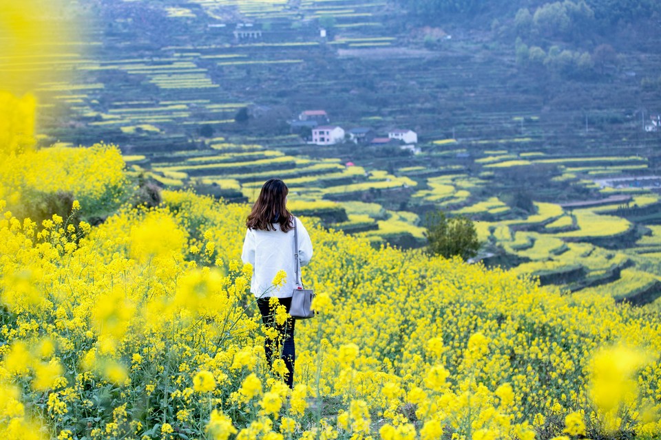 微信图片_20190330220638