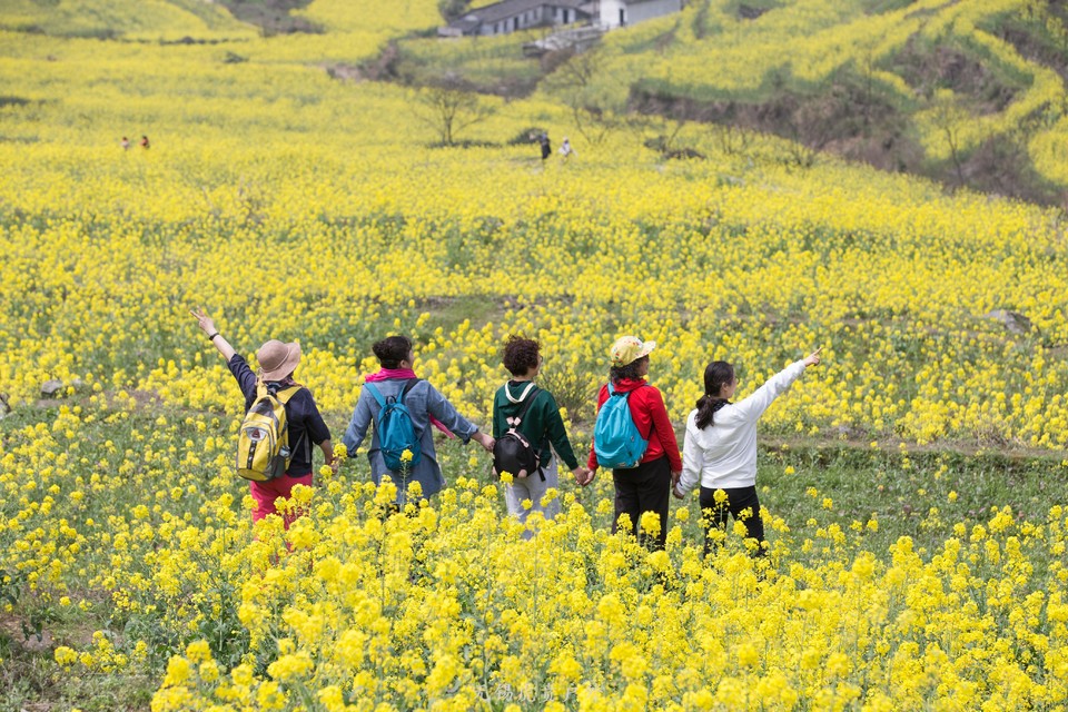 微信图片_20190330220850