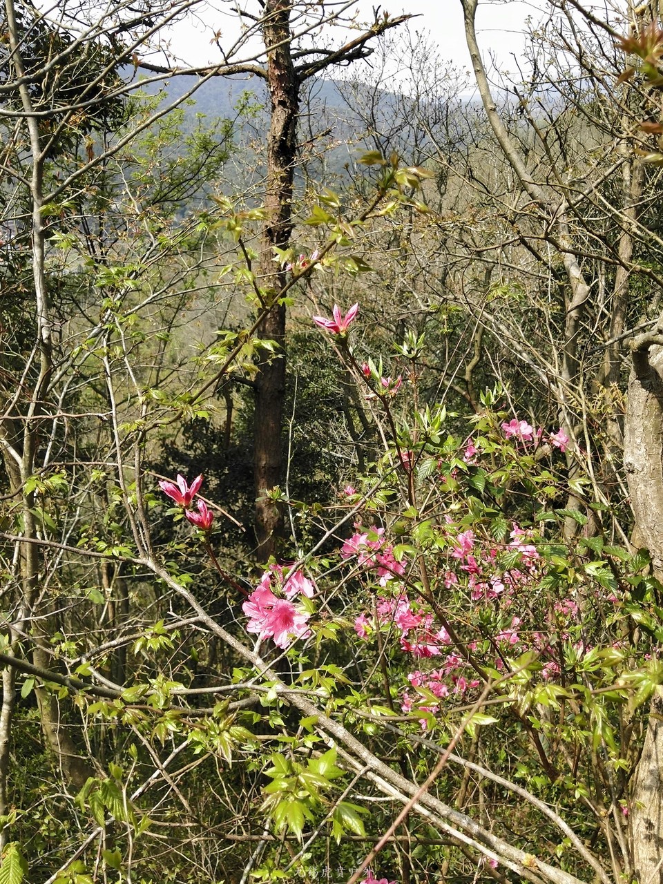 微信图片_20190330145500