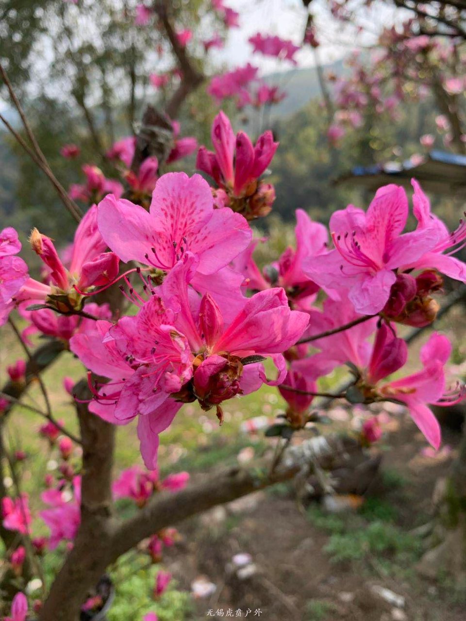 微信图片_20190330185322