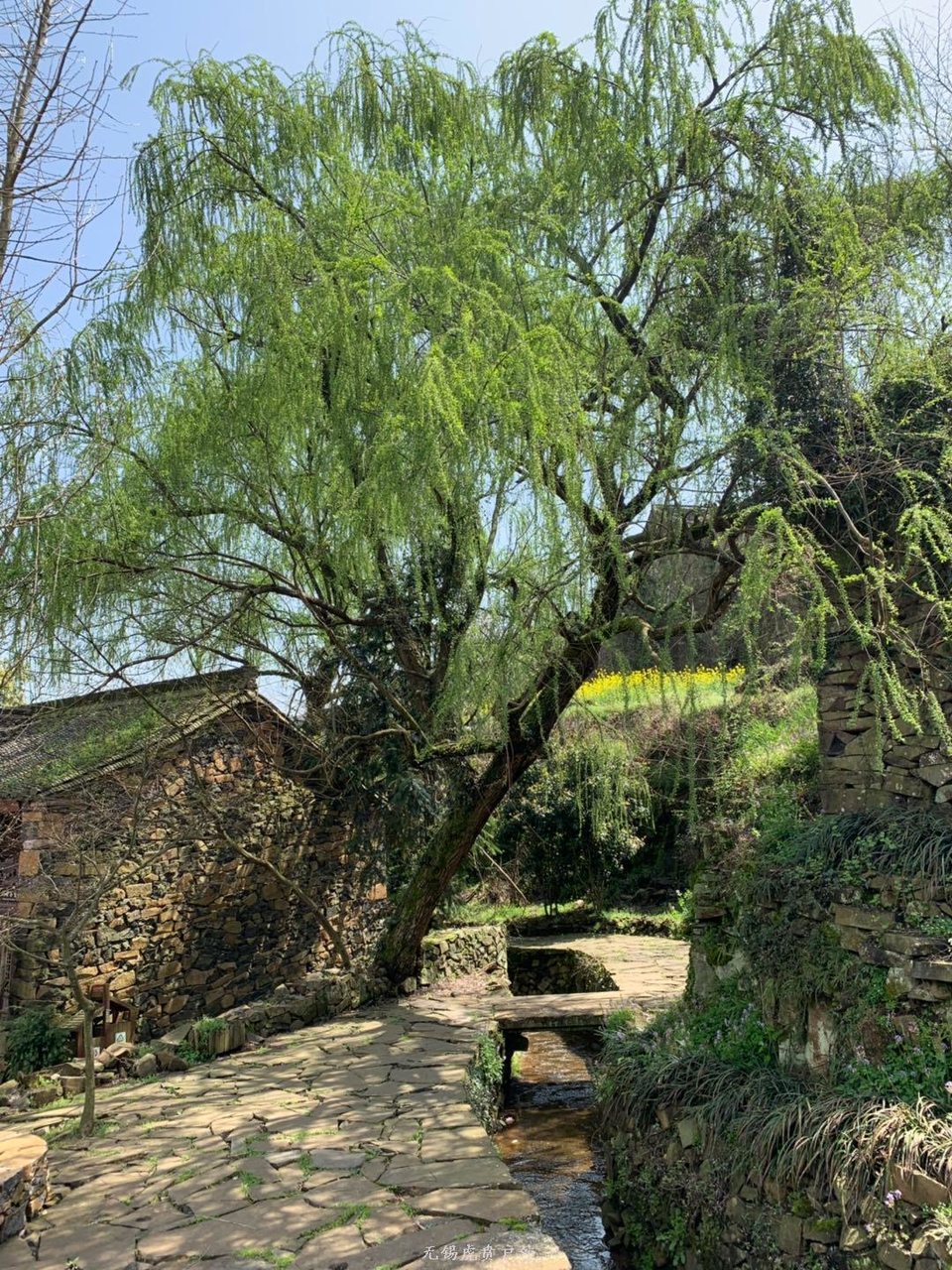 微信图片_20190330185432