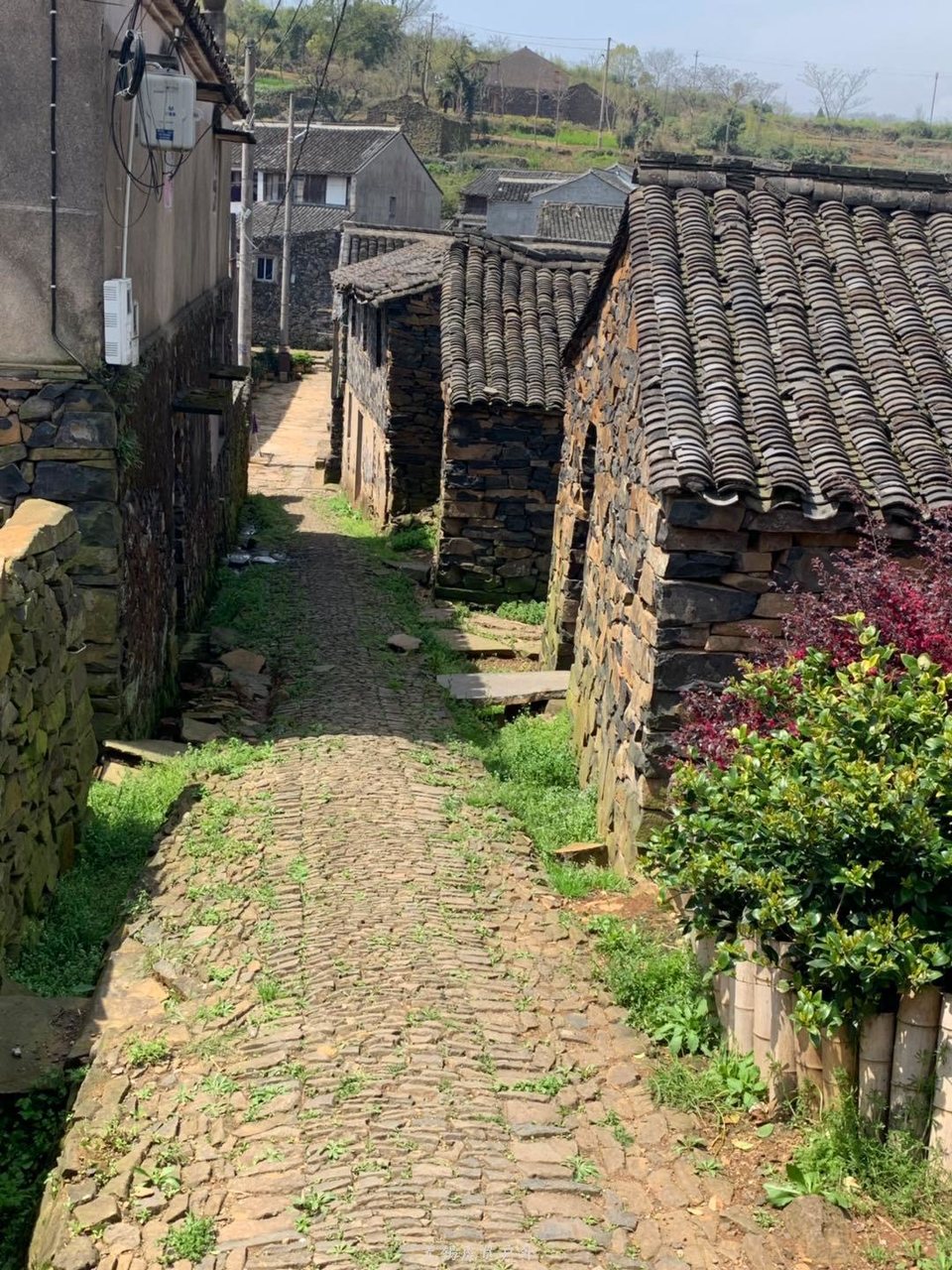 微信图片_20190330185451