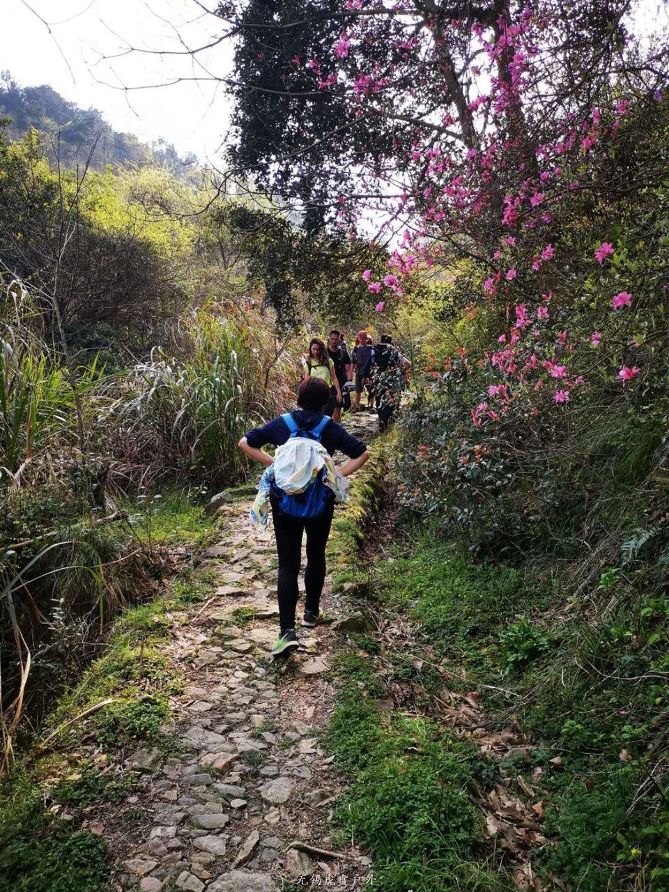 微信图片_20190330211323