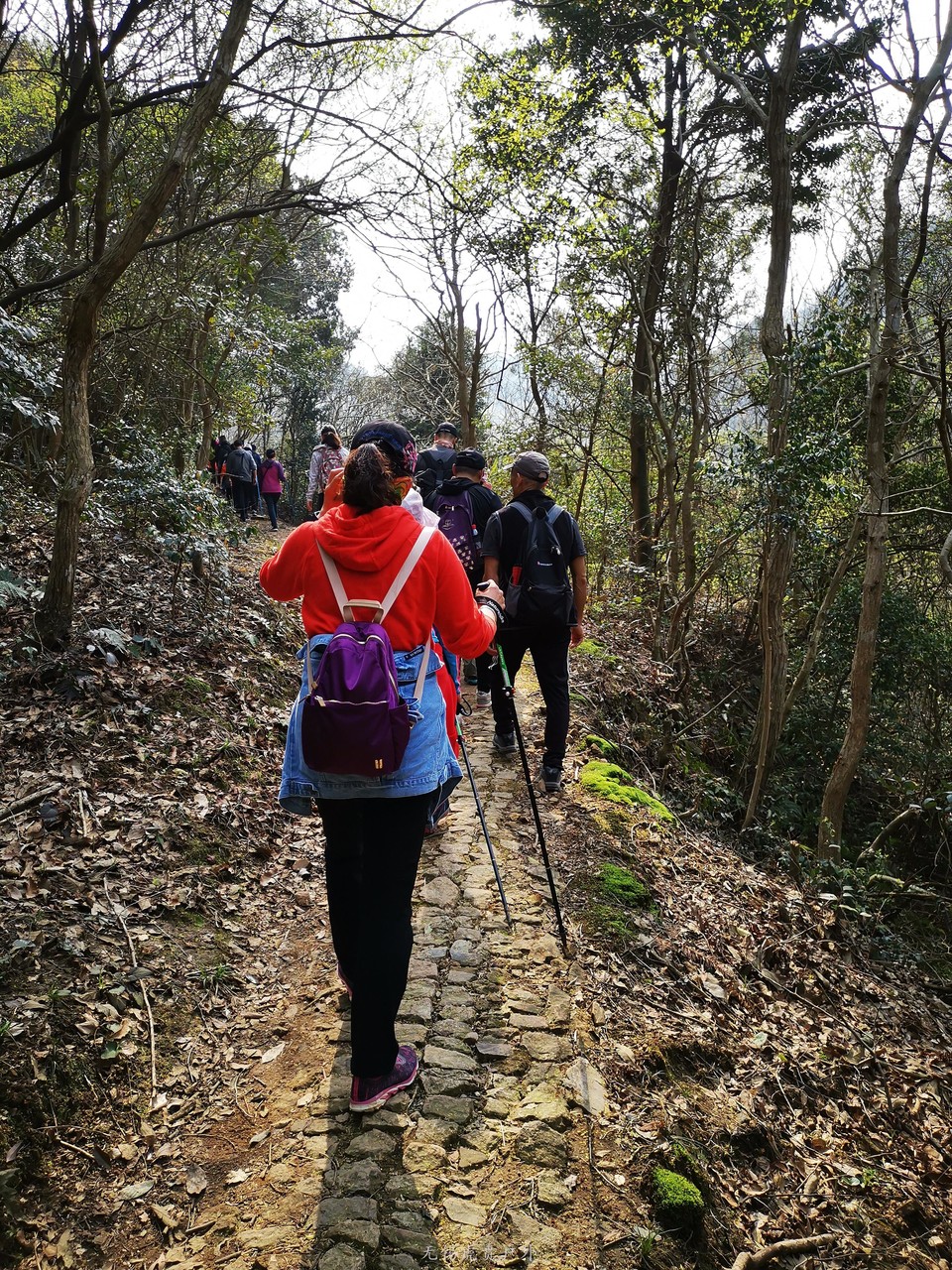 微信图片_20190330212737