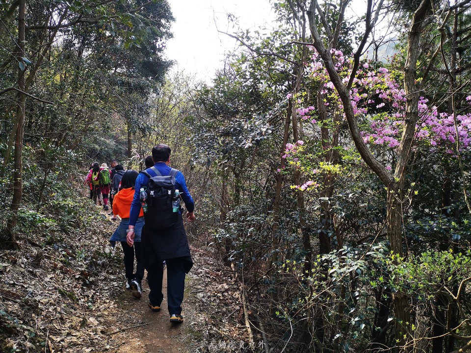 微信图片_20190330212848