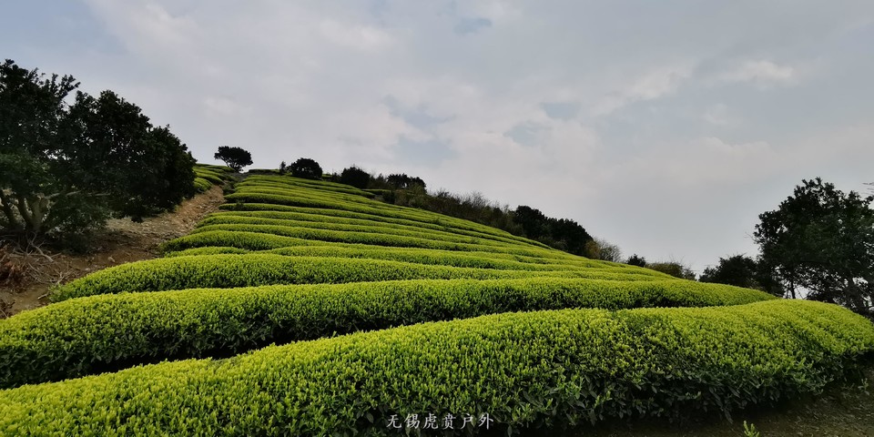 微信图片_20190330213039