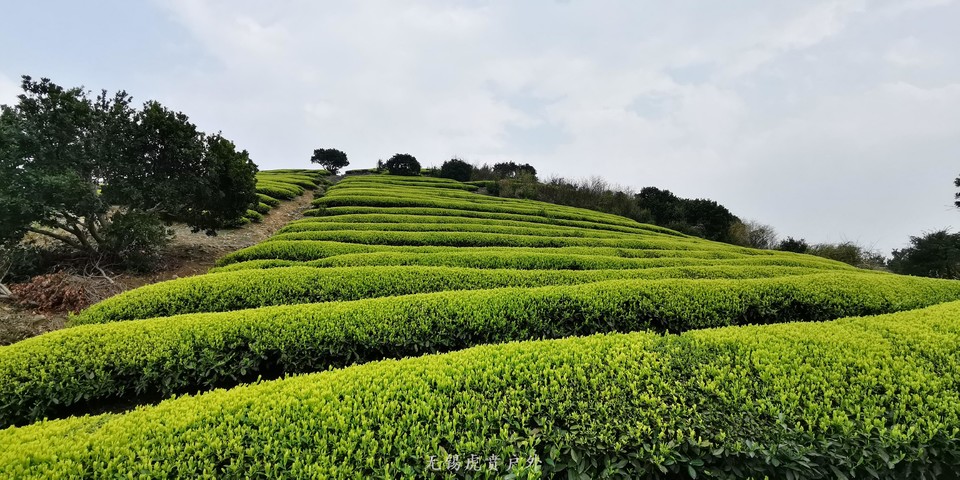 微信图片_20190330213047