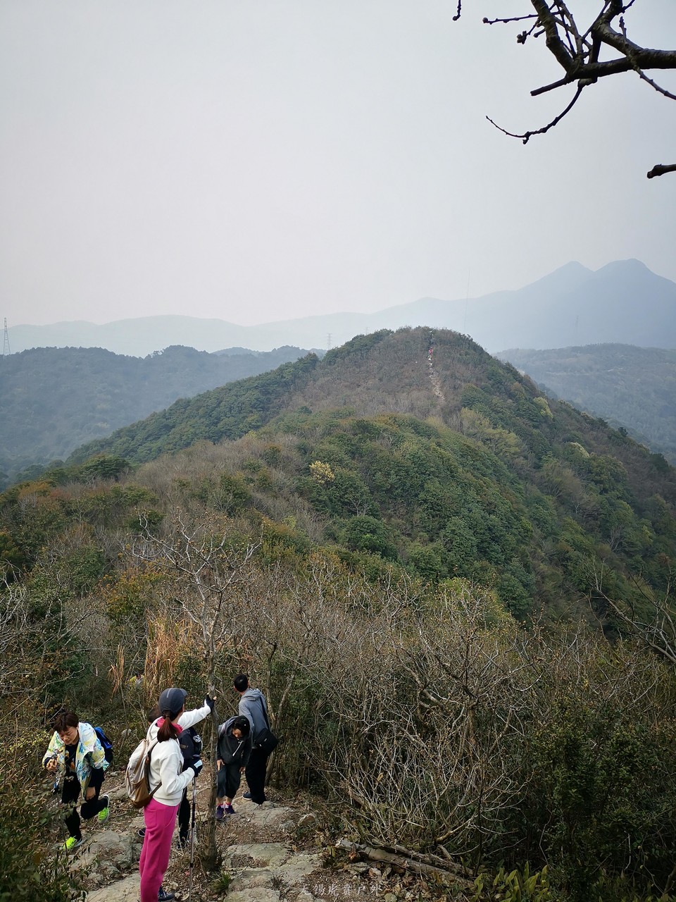 微信图片_20190330213058