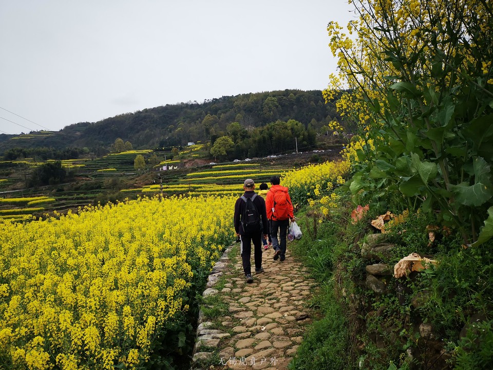 微信图片_20190331165929