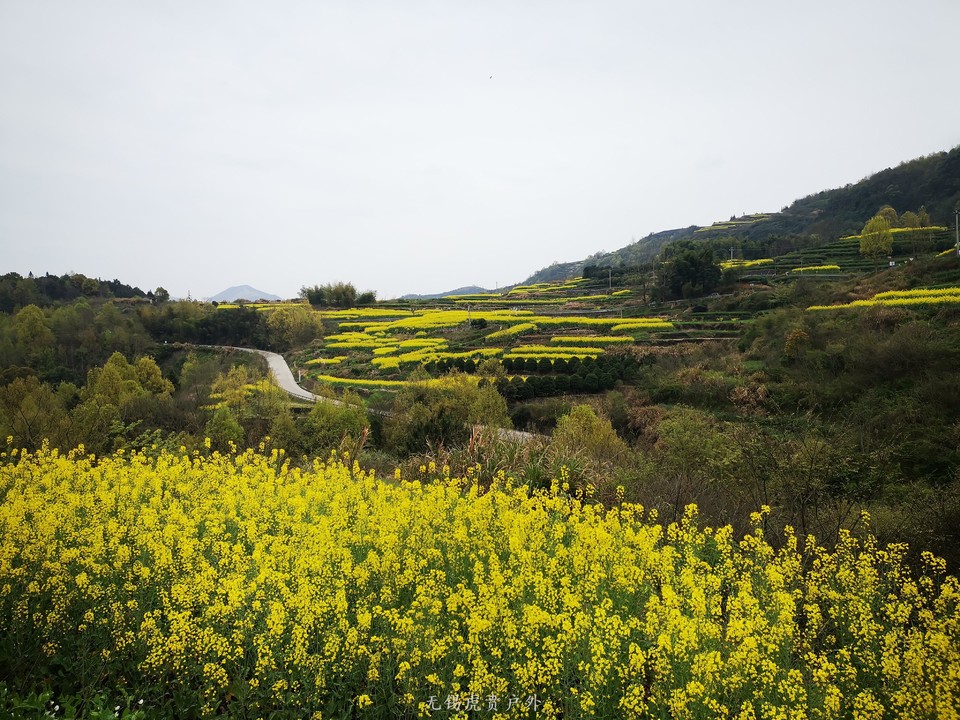 微信图片_20190331165936