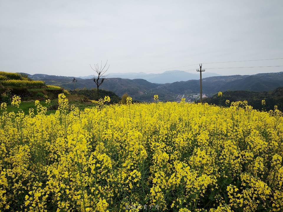 微信图片_20190331165943