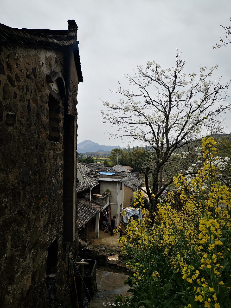 微信图片_20190331165955