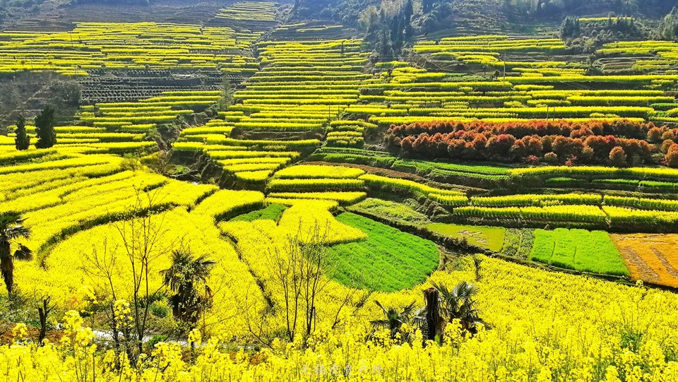 微信图片_20190331170103