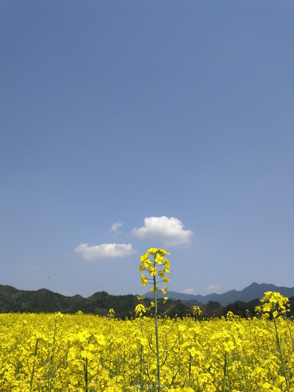 微信图片_20190331170107