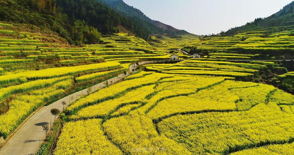 微信图片_20190331170111