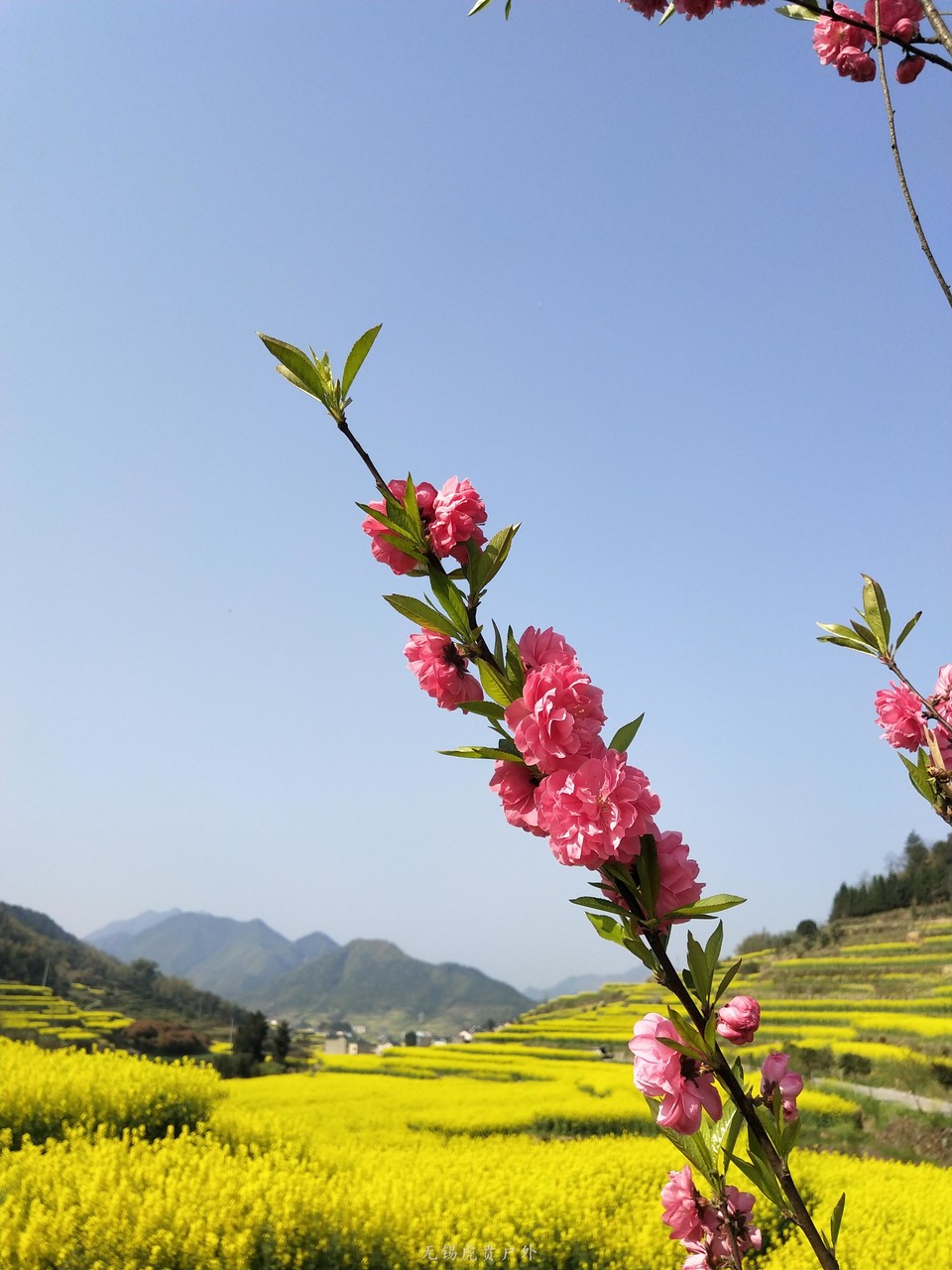 微信图片_20190331170123