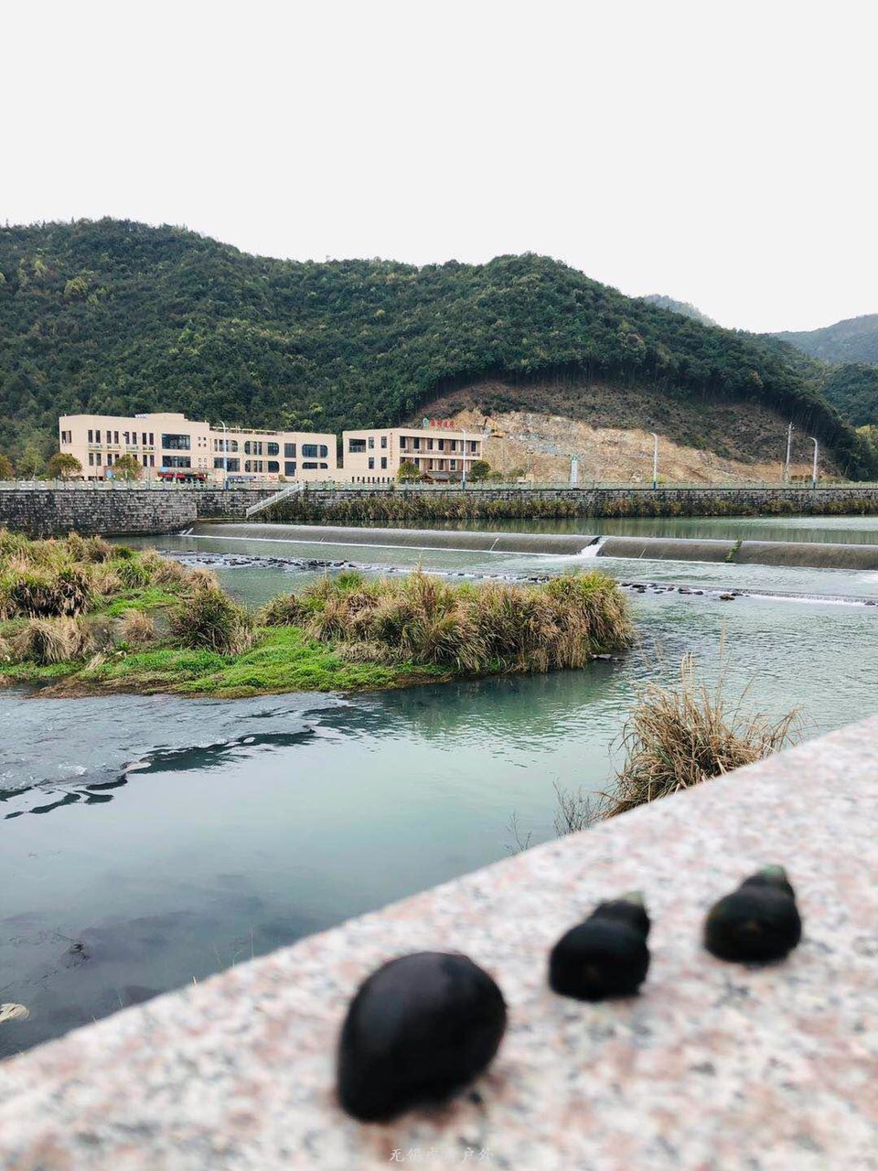 微信图片_20190331170213