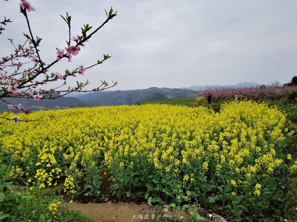 微信图片_20190331170216