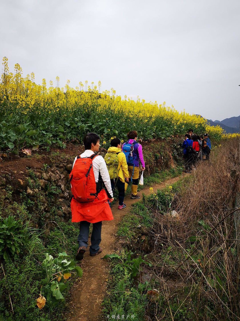 微信图片_20190331170219