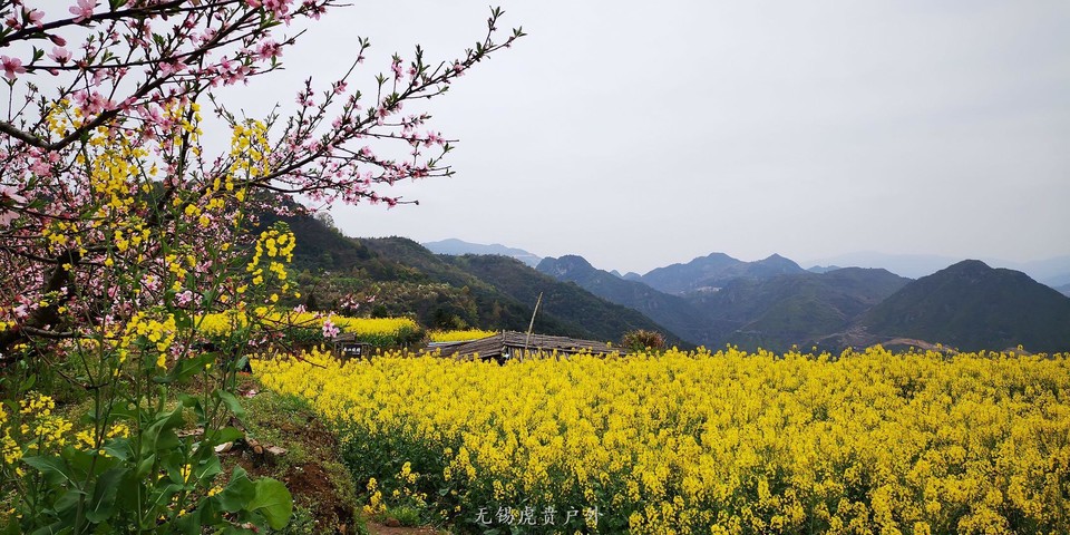 微信图片_20190331170225