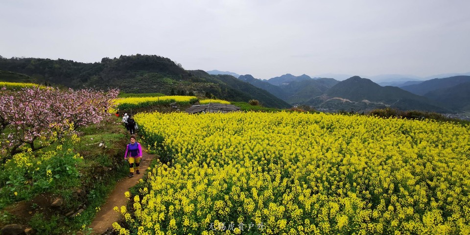 微信图片_20190331170228