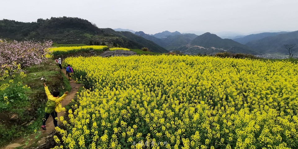 微信图片_20190331170231