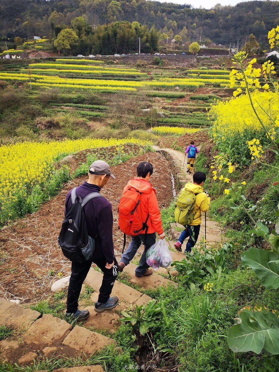 微信图片_20190331170245