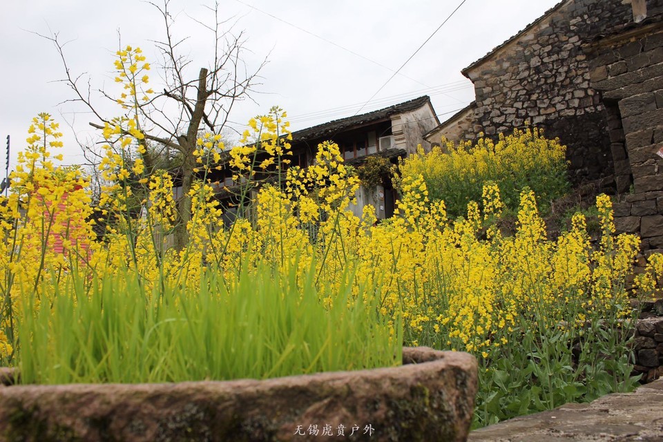 微信图片_20190331170251