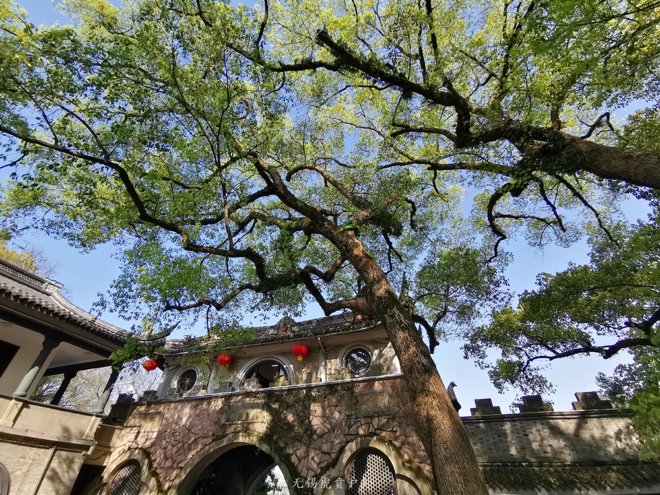 微信图片_20190405203546