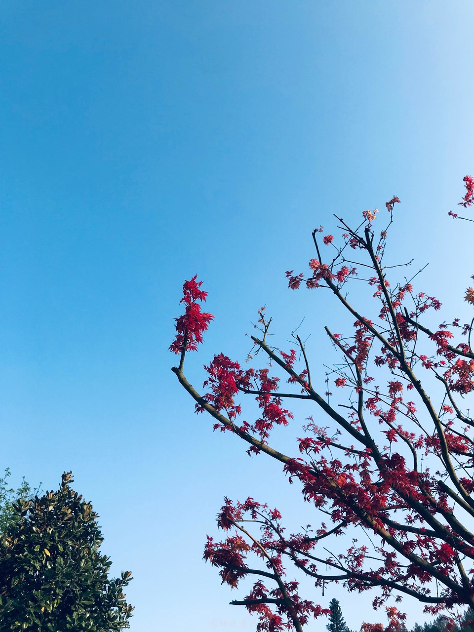 微信图片_20190406113852