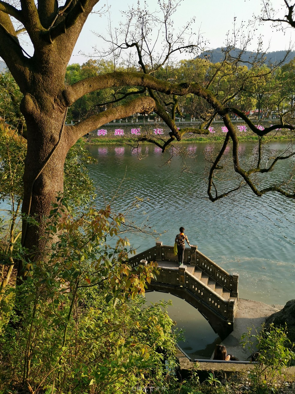 微信图片_20190406113923