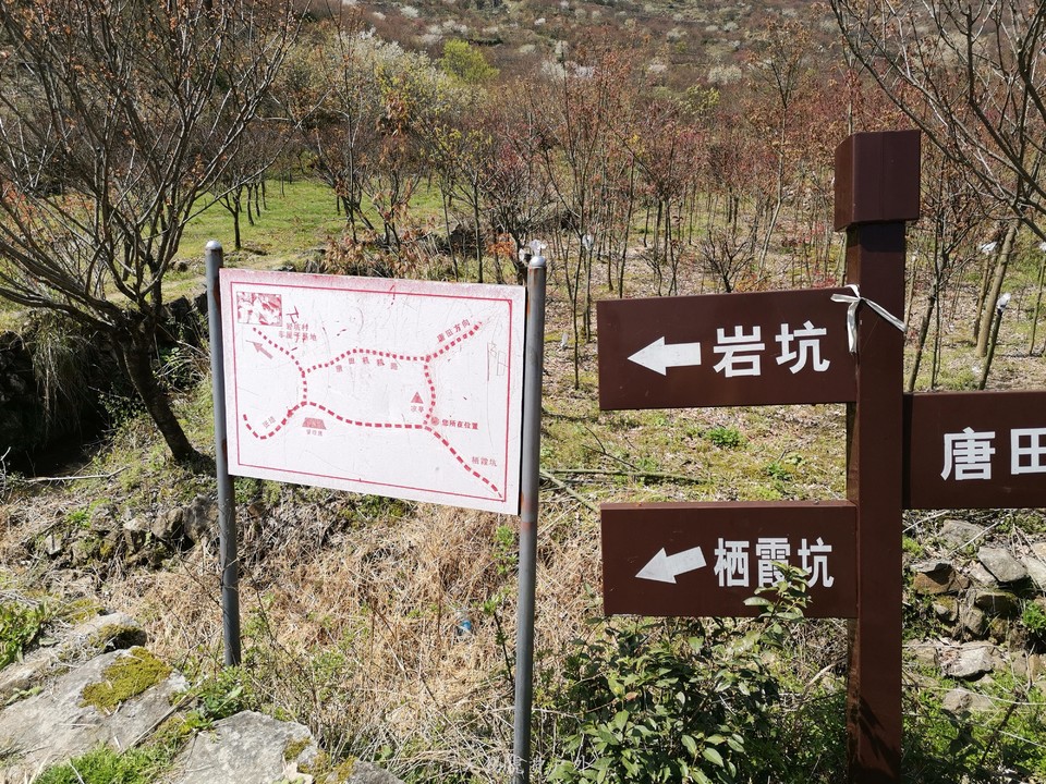 微信图片_20190406114047