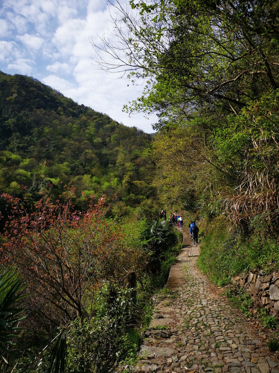 微信图片_20190406195148