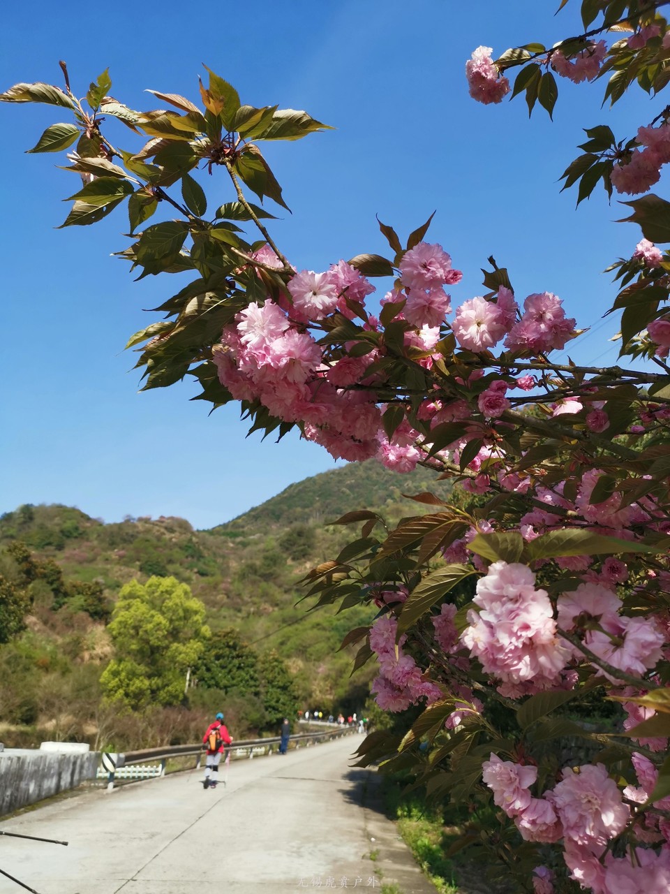 微信图片_20190406200034