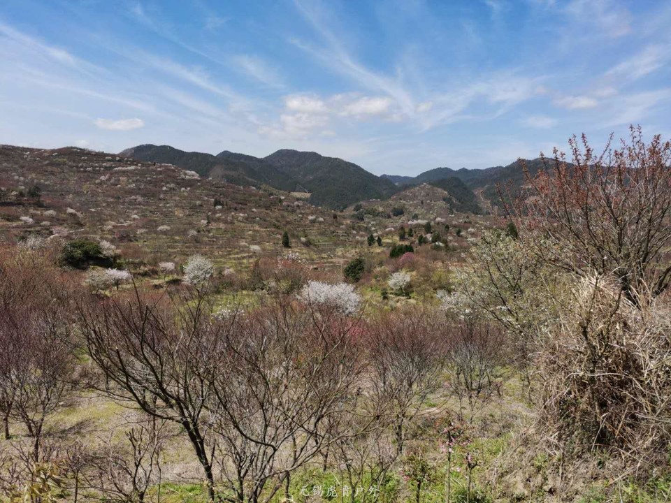 微信图片_20190406200104