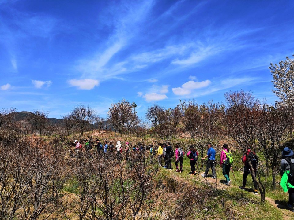 微信图片_20190406201638