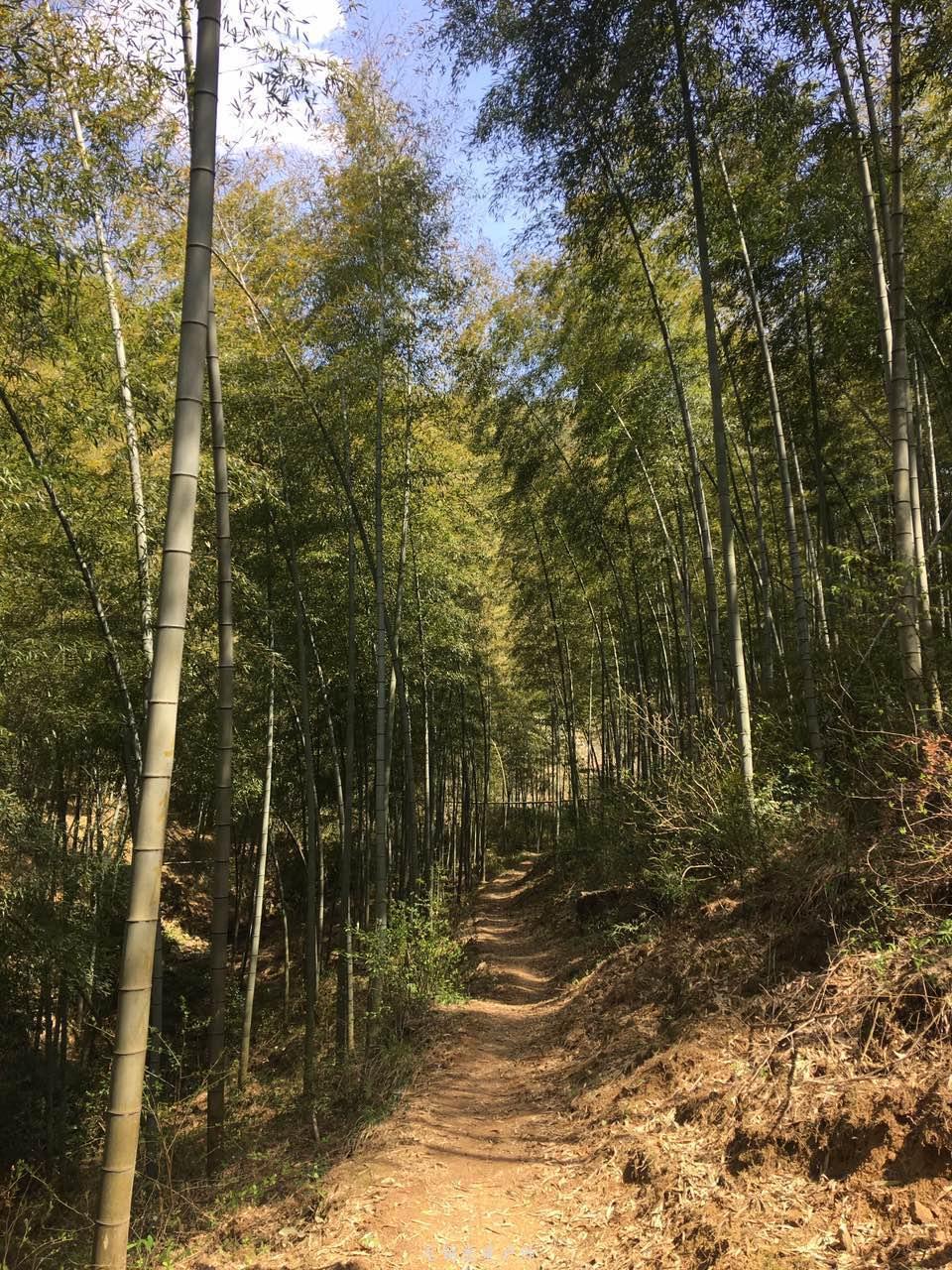 微信图片_20190406201641