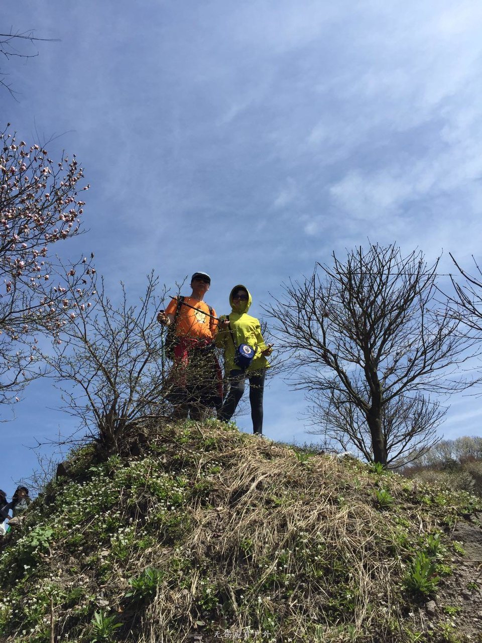 微信图片_20190406201647