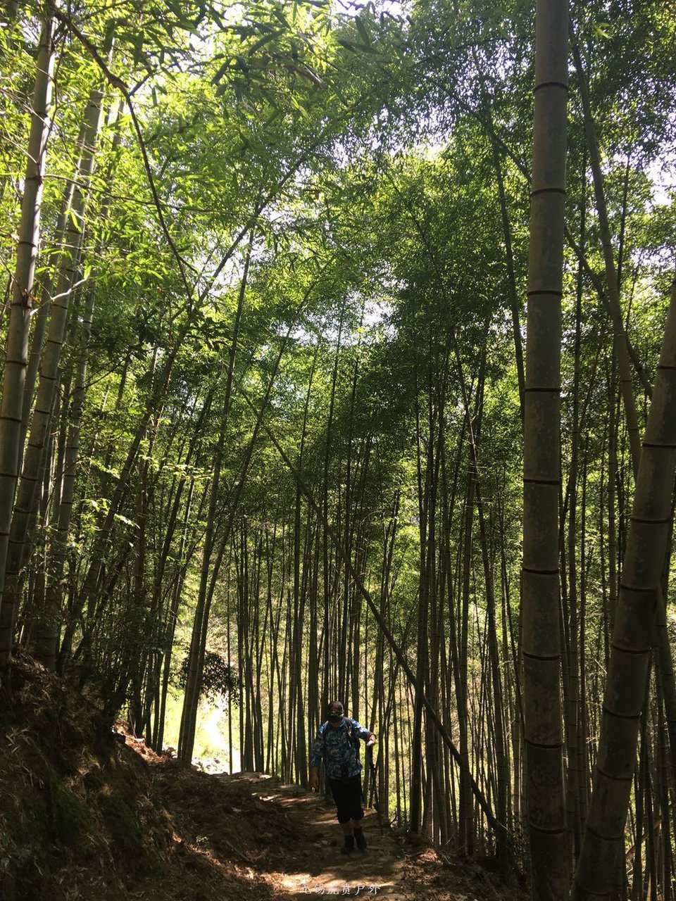 微信图片_20190406201651