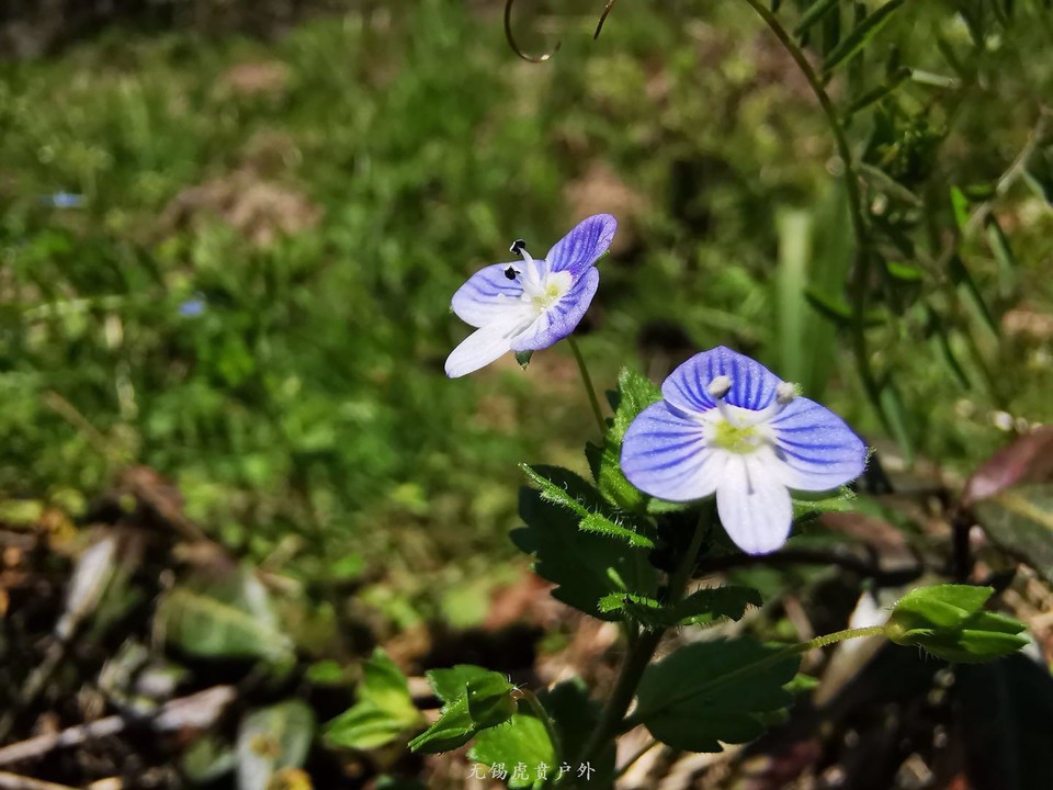 微信图片_20190406201708