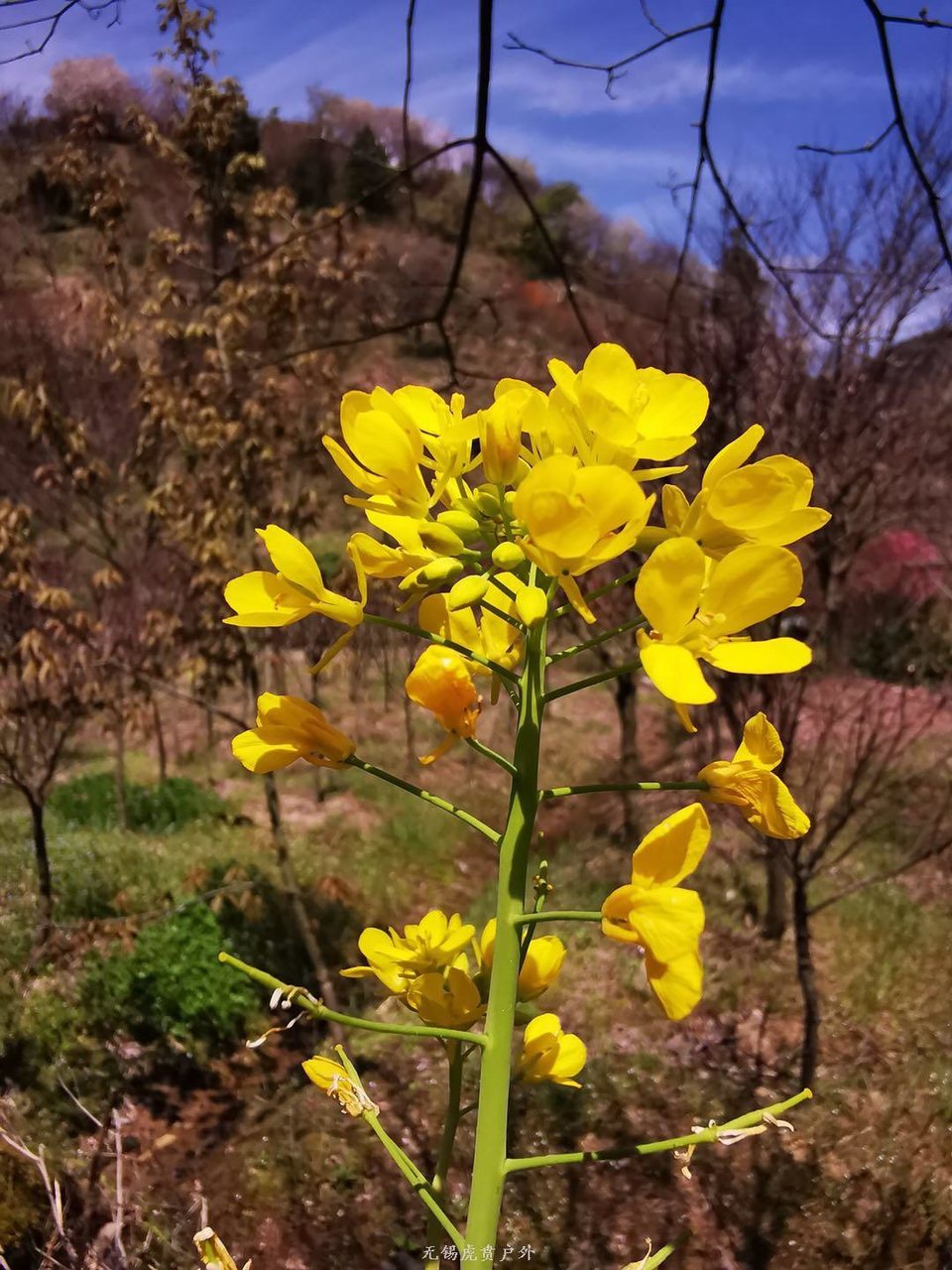 微信图片_20190406201711