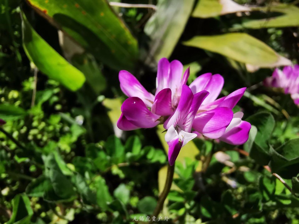 微信图片_20190406201721