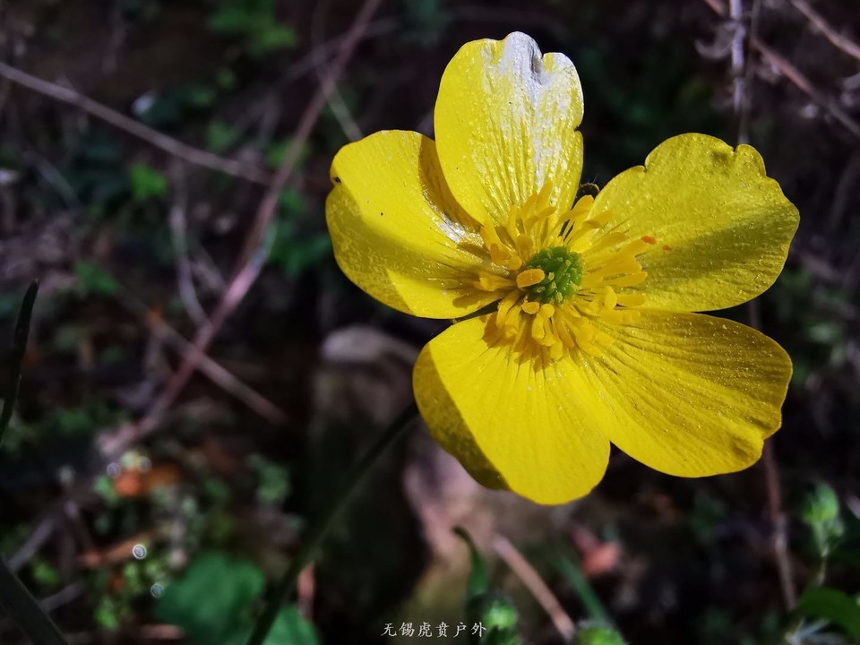 微信图片_20190406201731